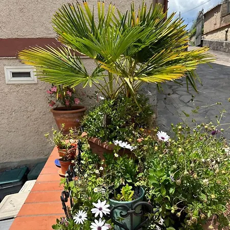 Apartament Le Magnolie House And Jubilee Paliano