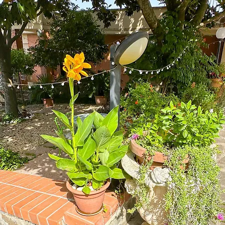 Apartament Le Magnolie House And Jubilee *