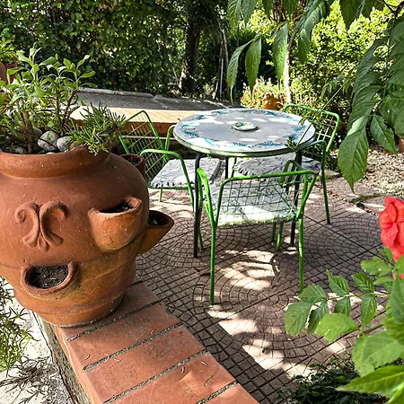 Le Magnolie House And Jubilee Apartament Paliano