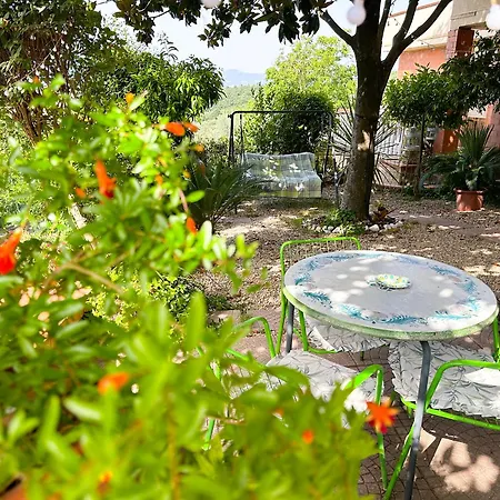 Le Magnolie House And Jubilee Apartament Paliano